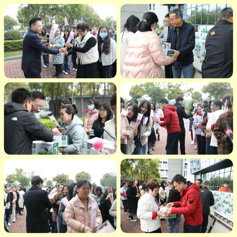 下载4949图库